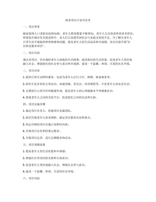 助老项目计划书范本