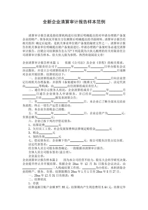 全新企业清算审计报告样本范例