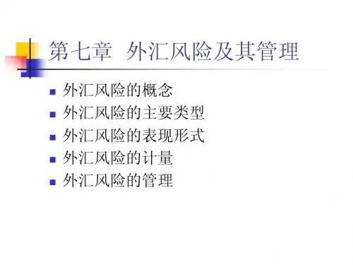 国际金融课件第7章：外汇风险