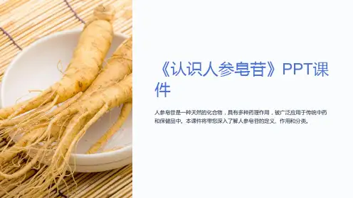 《认识人参皂苷》课件