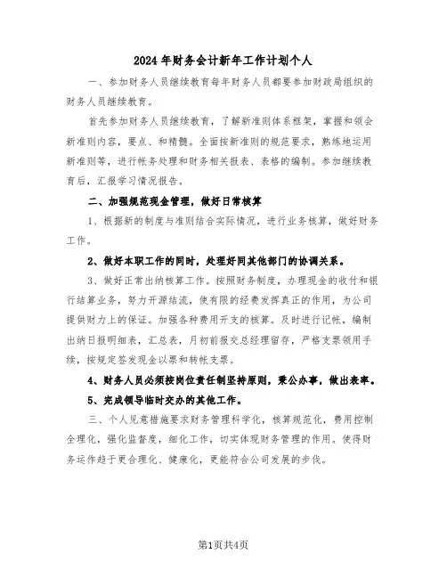 2024年财务会计新年工作计划个人(二篇)