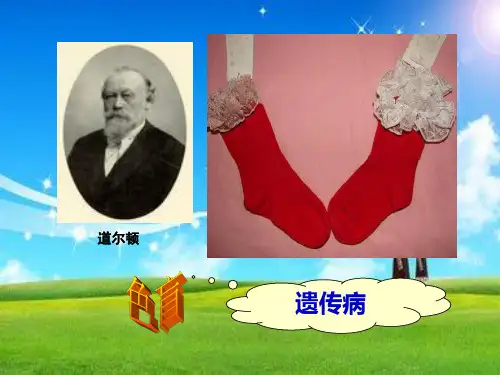 人类优生与基因组计划PPT教学课件