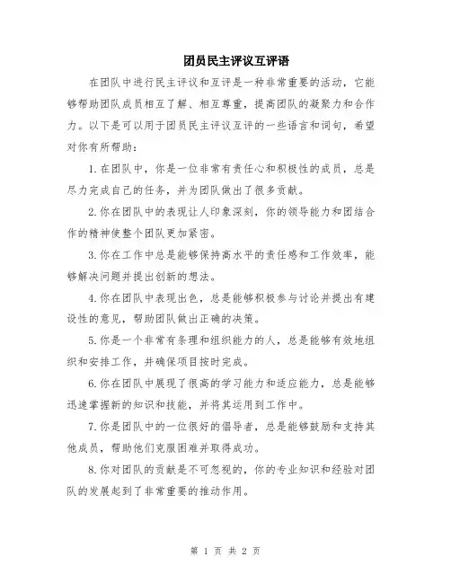 团员民主评议互评语