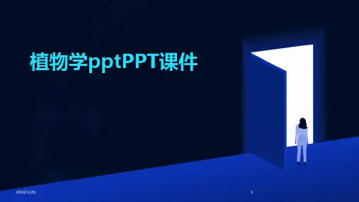 植物学pptPPT课件