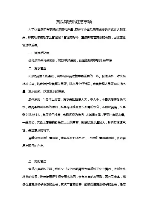 黄瓜嫁接后注意事项