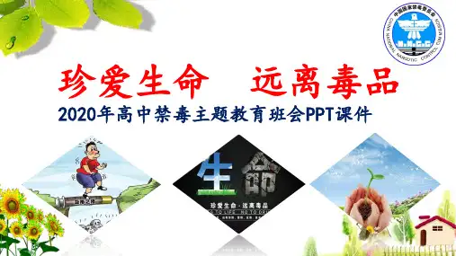 2020年高中禁毒《珍爱生命  远离毒品》主题教育班会PPT课件