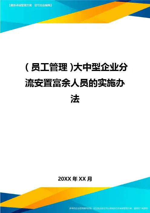 员工管理大中型企业分流安置富余人员的实施办法