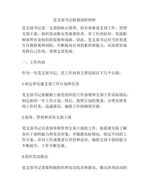 党支部书记检视剖析材料