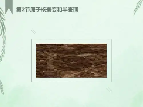 原子核衰变和半衰期hxm