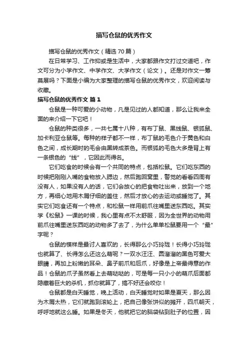 描写仓鼠的优秀作文（精选70篇）
