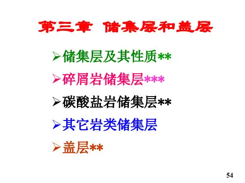 第3章 储集层及盖层概论
