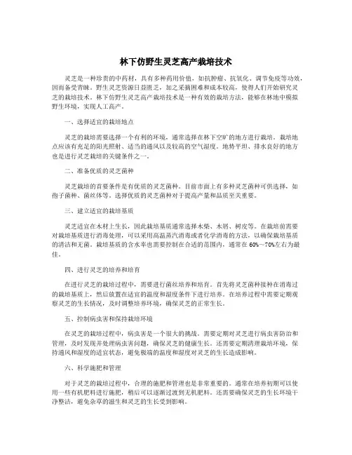 林下仿野生灵芝高产栽培技术