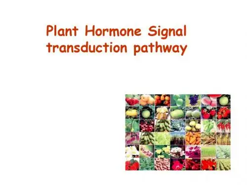 精选PlantHormoneSignaltransductionpathway植物激素信号转导通路资料