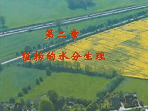 《植物生理学》第二章 植物水分生理ppt课件
