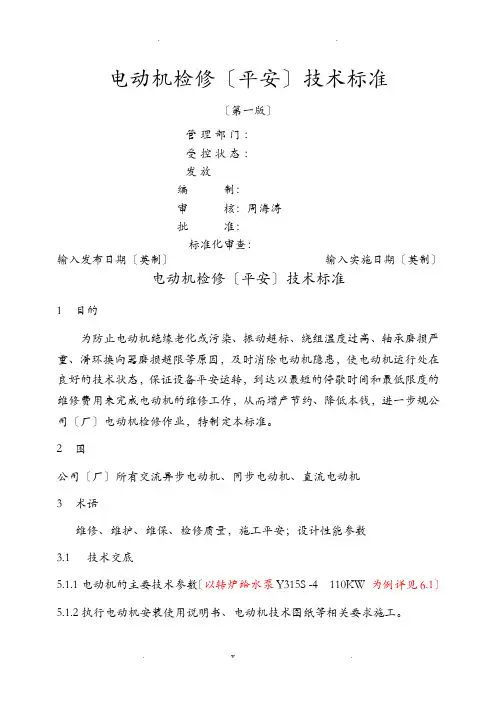 电动机检修(安全)技术标准