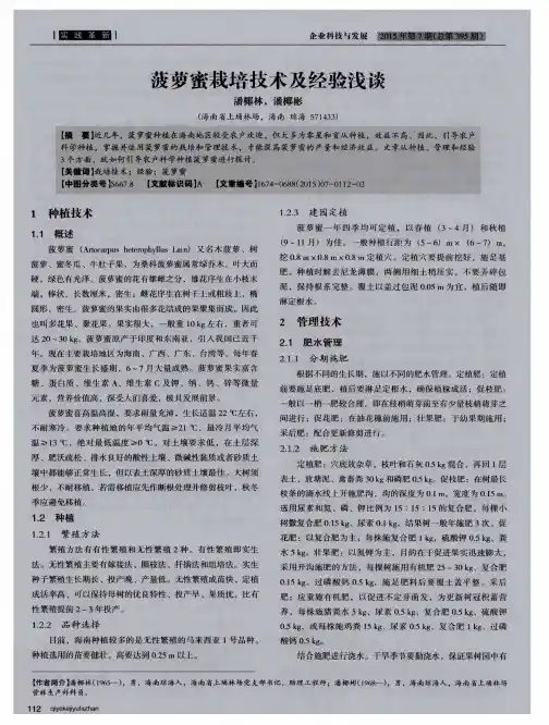 菠萝蜜栽培技术及经验浅谈