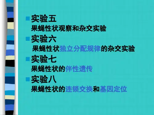 果蝇杂交实验三大遗传规律