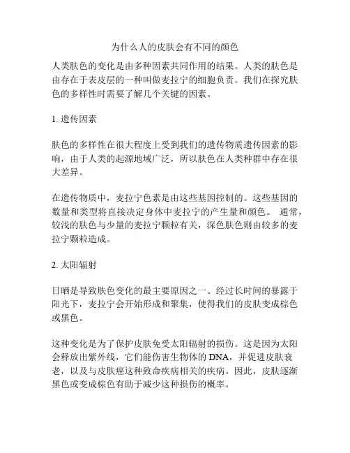 为什么人的皮肤会有不同的颜色
