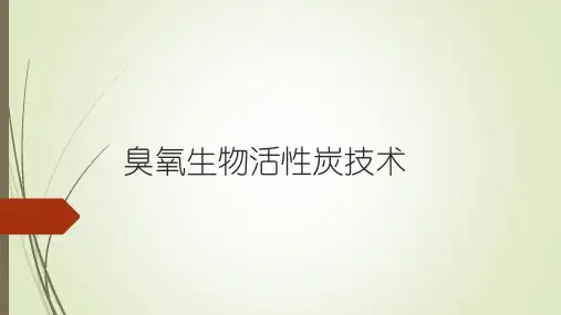 臭氧生物活性炭技术11上课讲义