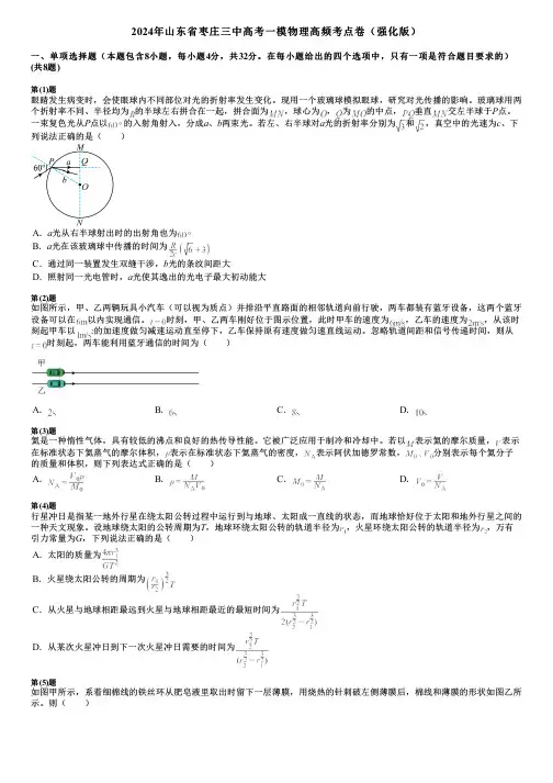 2024年山东省枣庄三中高考一模物理高频考点卷(强化版)