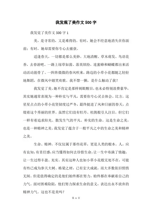 我发现了美作文500字