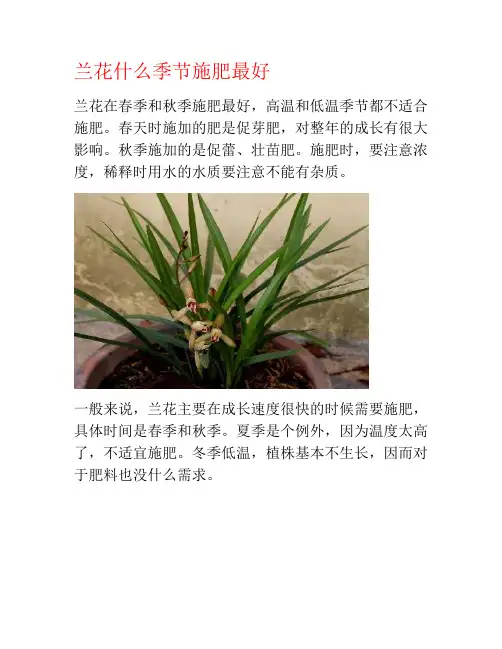 兰花什么季节施肥最好