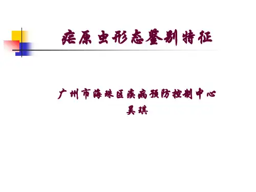 疟原虫的形态鉴别