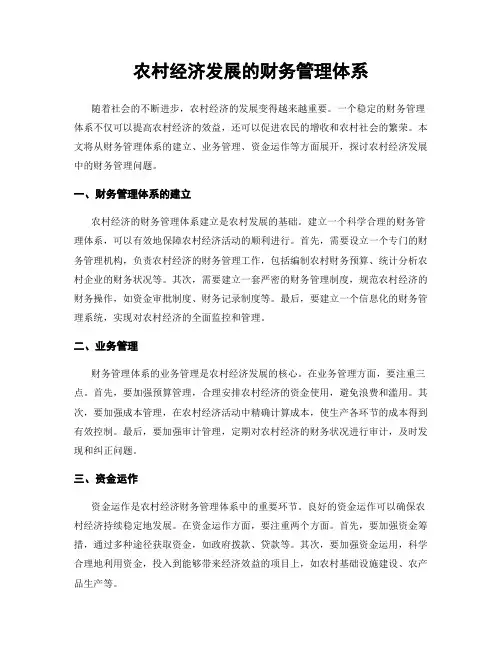 农村经济发展的财务管理体系