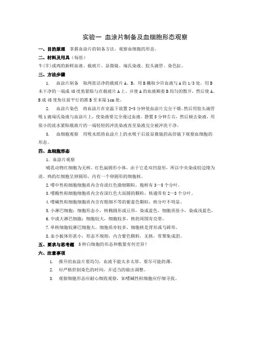 1血涂片制备及血细胞形态观察