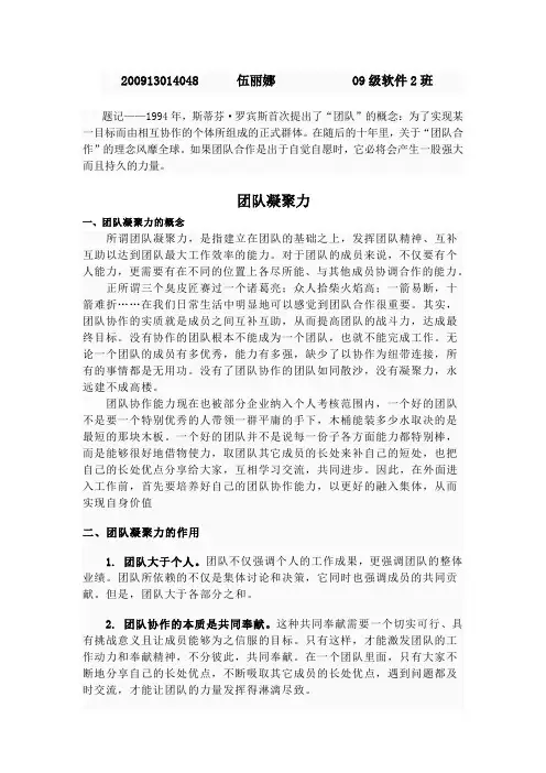 团队凝聚力