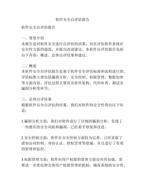 软件安全自评估报告