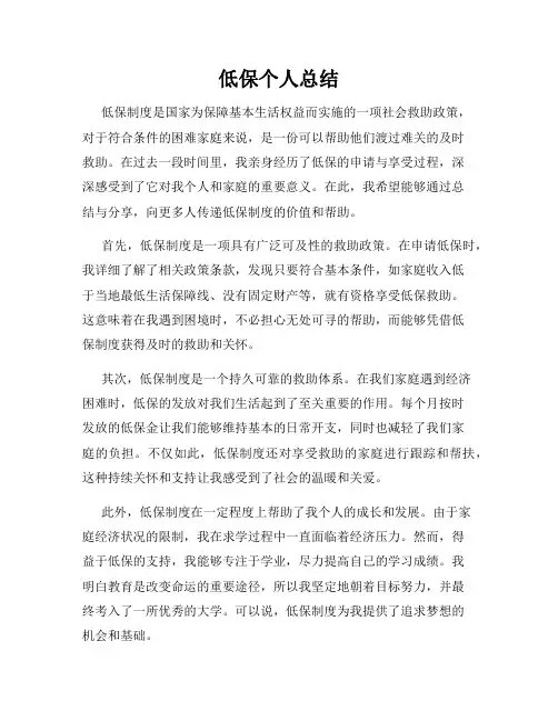 低保个人总结