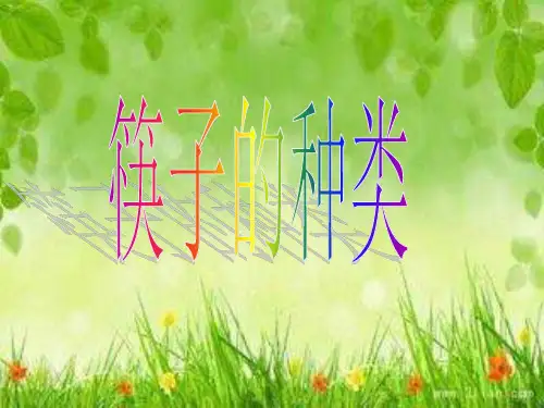 筷子的种类PPT课件