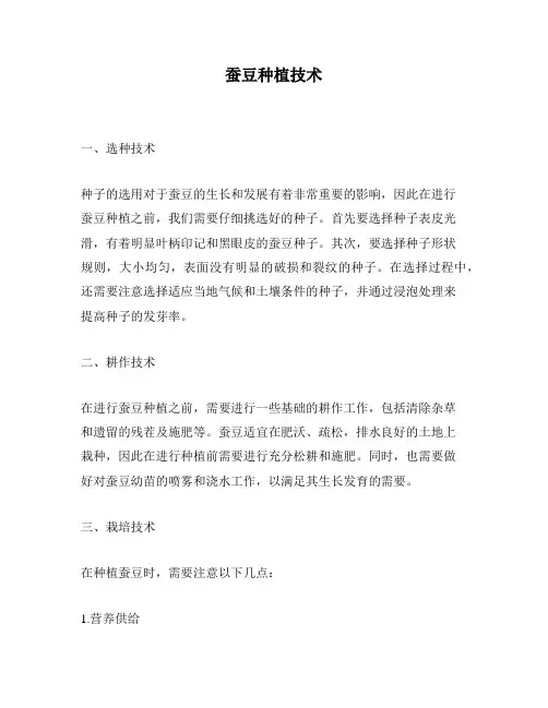 蚕豆种植技术