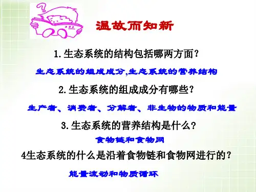 生态系统的能量流动(优质课课件)