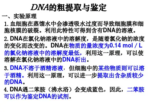 DNA的粗提取与鉴定PCR蛋白质的提取与分离