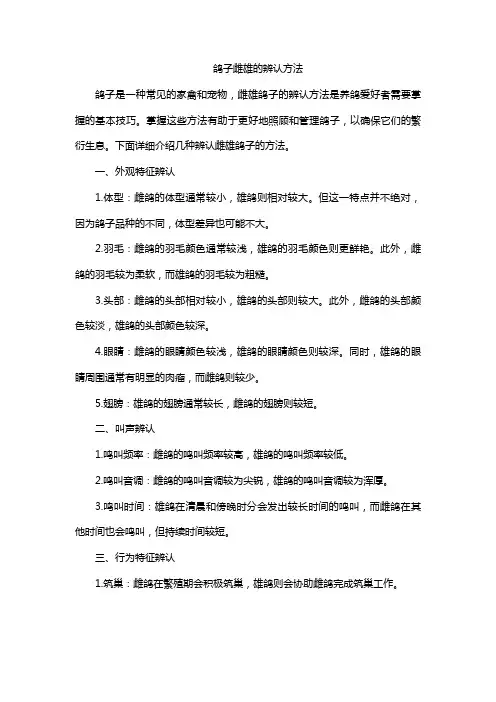 鸽子雌雄的辨认方法