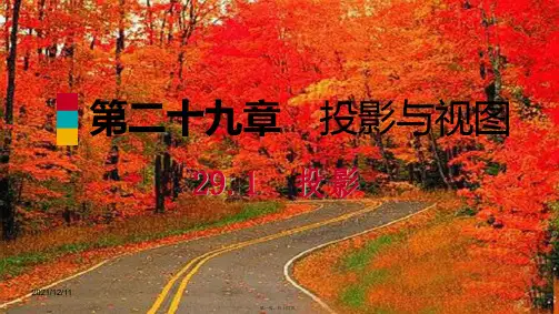 九年级数学下册 第二十九章 投影与视图 29.1 投影 29.1.2 正投影