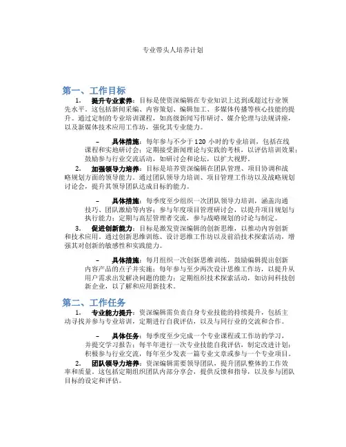 专业带头人培养计划