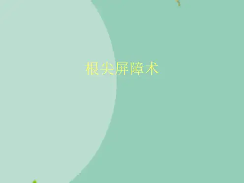根尖屏障术(“根管”文档)共9张