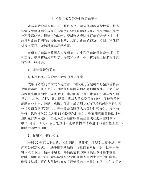 技术员必备各阶段生猪采血要点