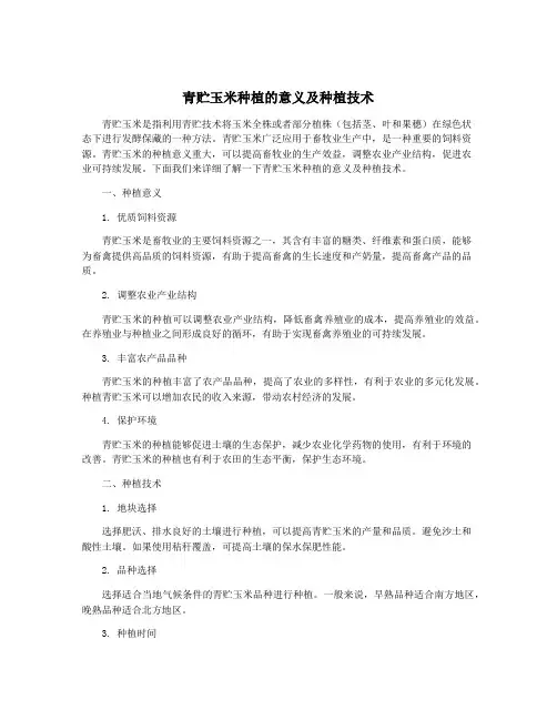 青贮玉米种植的意义及种植技术