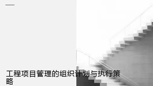 工程项目管理的组织计划与执行策略