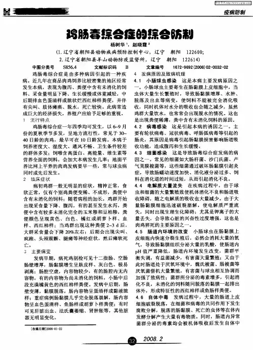 鸡肠毒综合症的综合防制