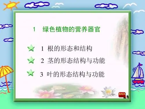 六年级科学上册第一章第1课植物的器官和营养PPT课件3新人教版