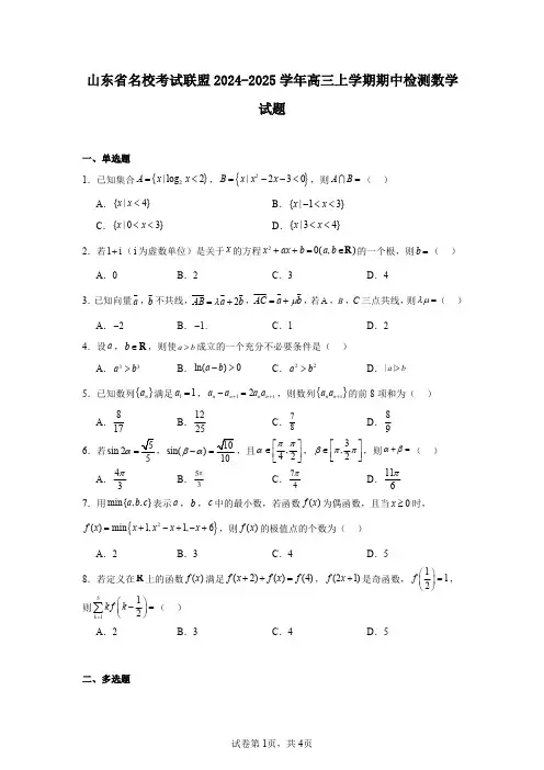 山东省名校考试联盟2024-2025学年高三上学期期中检测数学试题