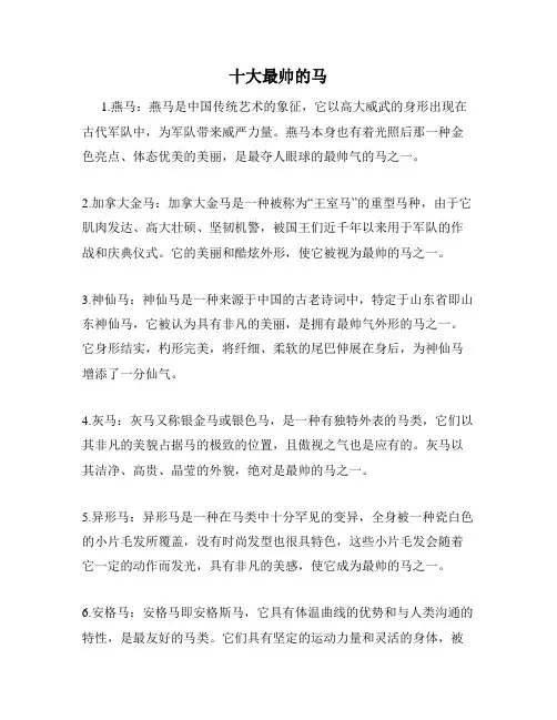 十大最帅的马