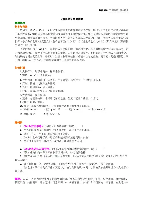 人教部编版语文九年级《变色龙》知识讲解