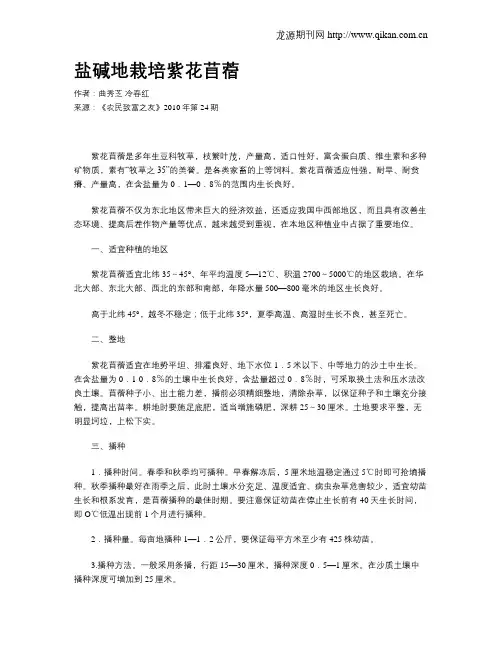 盐碱地栽培紫花苜蓿