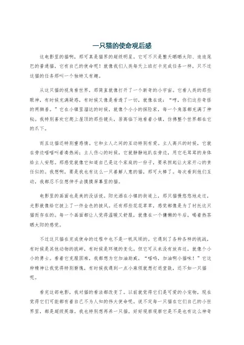 一只猫的使命观后感